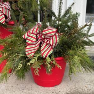 arrangement de Noël